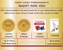 Load image into Gallery viewer, what is the right pheromone for you? strenght of pheromoneswhat is the right pheromone for you? strenght of pheromones